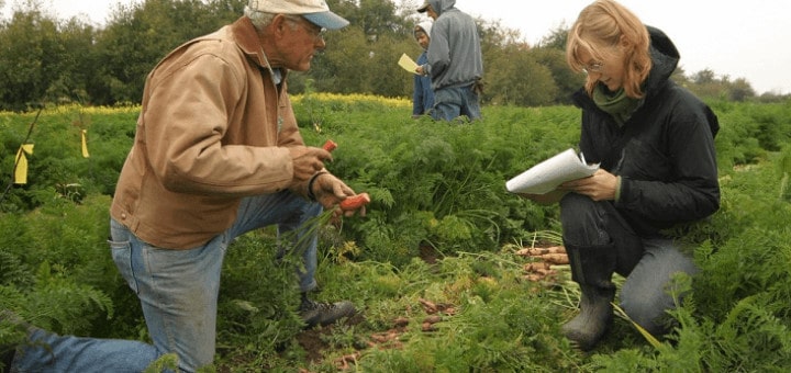 Agriculture sous statut association